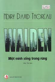 Một Mình Sống Trong Rừng